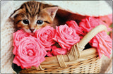 Kangaro k-0014d118 buro-onderlegger pp 38x58cm kitten - afbeelding 1