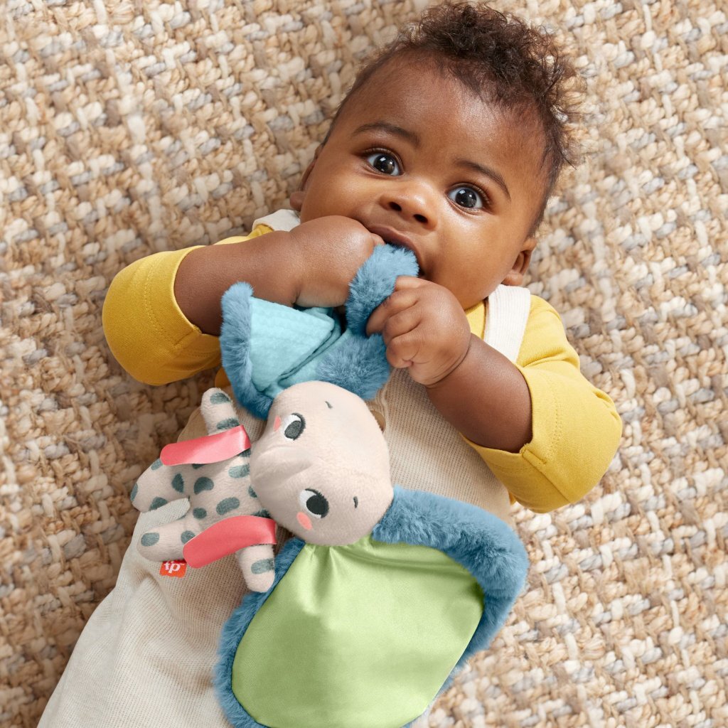 Fisher price all ears lovey