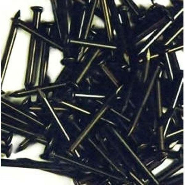 Hoenderdaal fasteners producten staalspijkers a 100st 2 5x50
