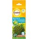 Solabiol producten feromoonval buxusmot 5st