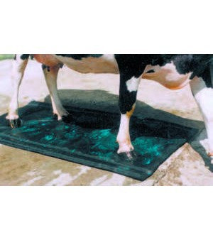 Producten hoefmat shoof 180 x 90cm