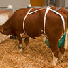 Producten uiernet compleet