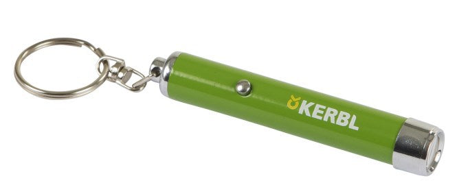 Producten led pointer 12 80 mm
