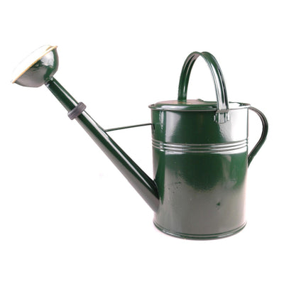 Producten gieter groen gelakt messing broes 9l