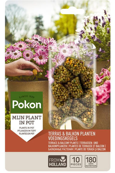 Pokon producten terras balkonplanten voeding langwkegels 10st