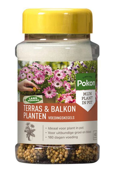 Pokon producten terras balkonplanten voeding langwkegels 40st