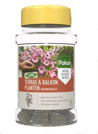 Pokon producten terras balkon planten voedingskegels 40st