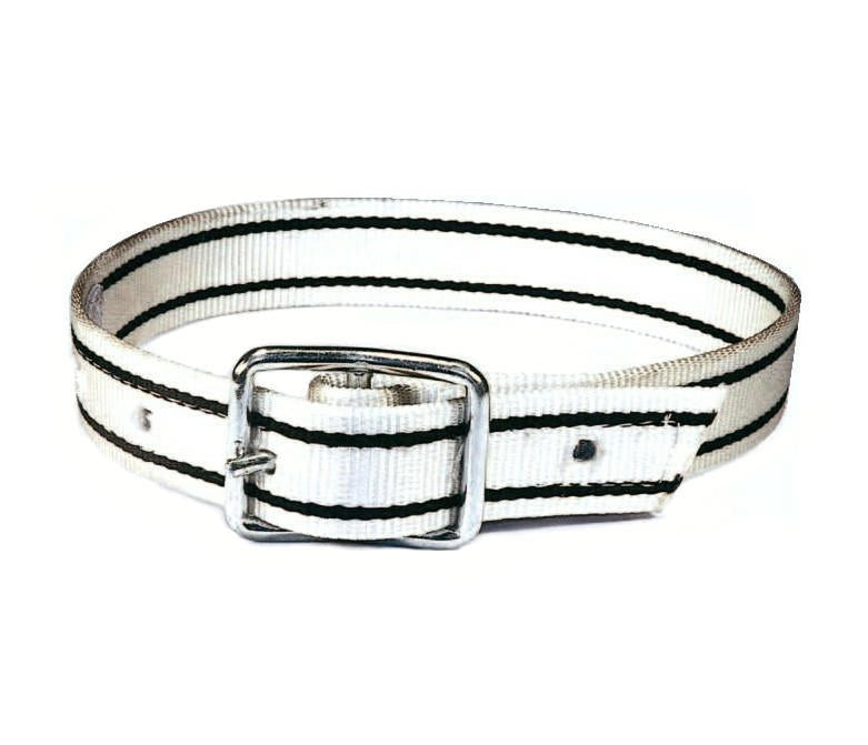 Producten zeugeband nylon 180cm tonggesp