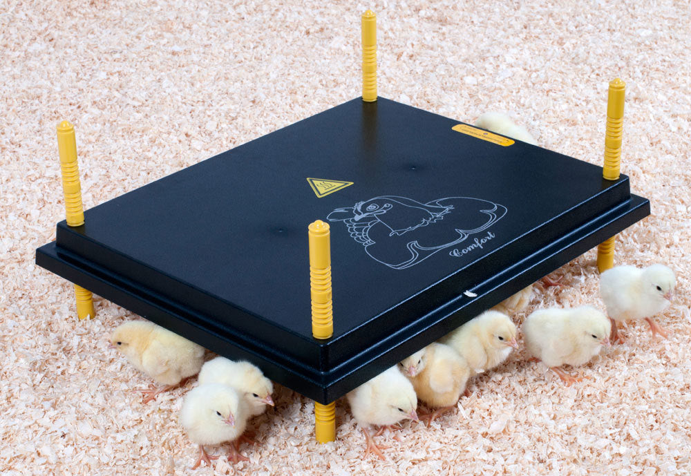 Olba producten warmteplaat voor kuikens 40x50cm 50watt