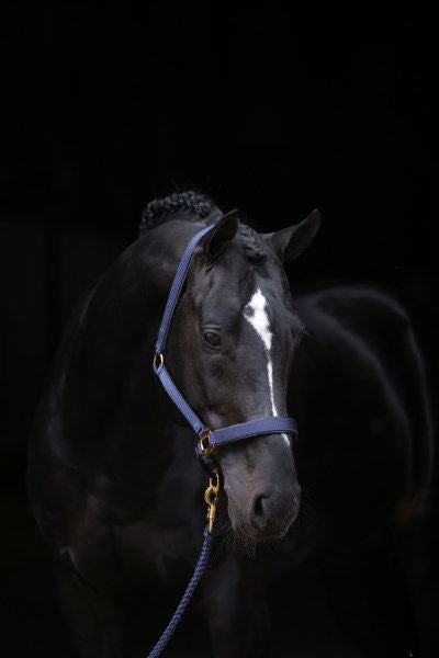 Abi topline halster blauw 1 pony