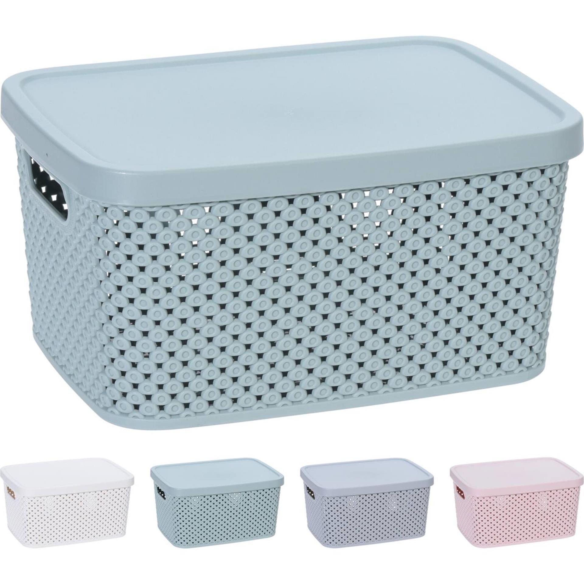 Storage solutions opbergdoos met deksel 3,5 liter 23x17x12cm kunststof 4ass