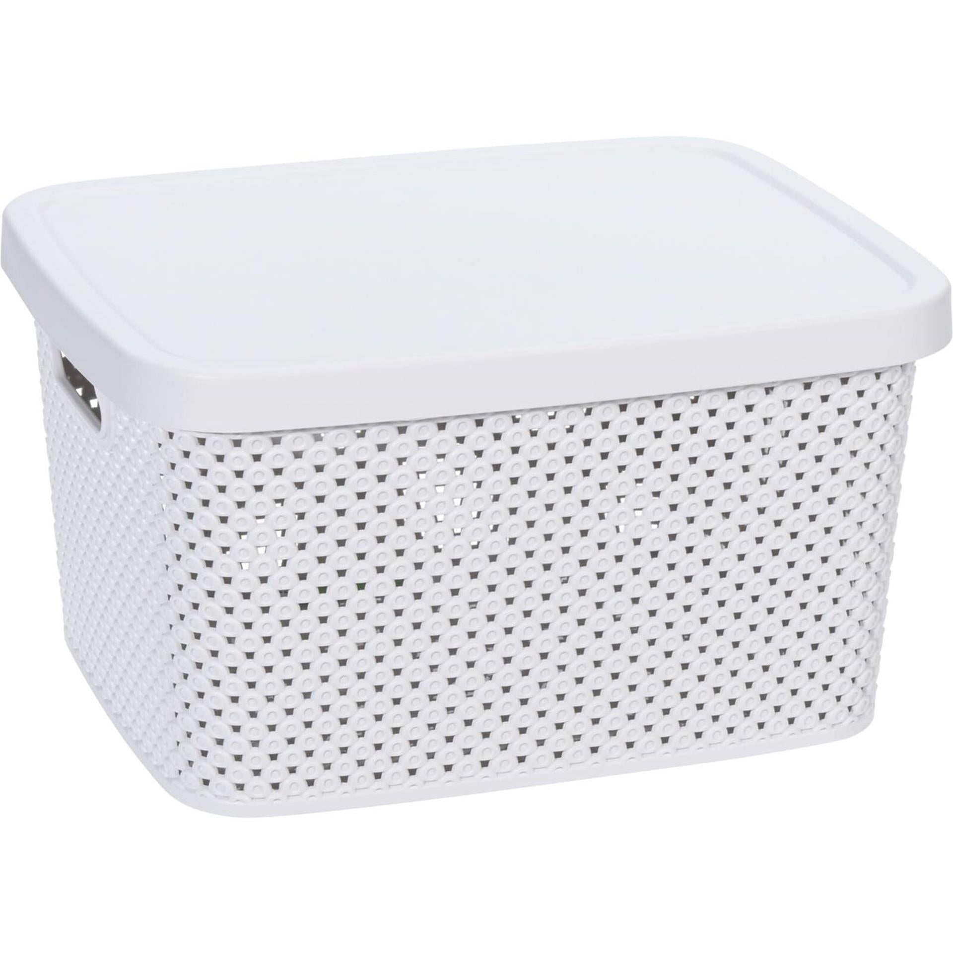 Storage solutions opbergdoos met deksel 4ass kl