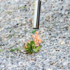 Gloria onkruidbrander thermoflamm bio classic in display | 12 stuks