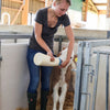 Abi producten speedy feeder kalverdrinkfles xl 4l met bigsoftyspeen