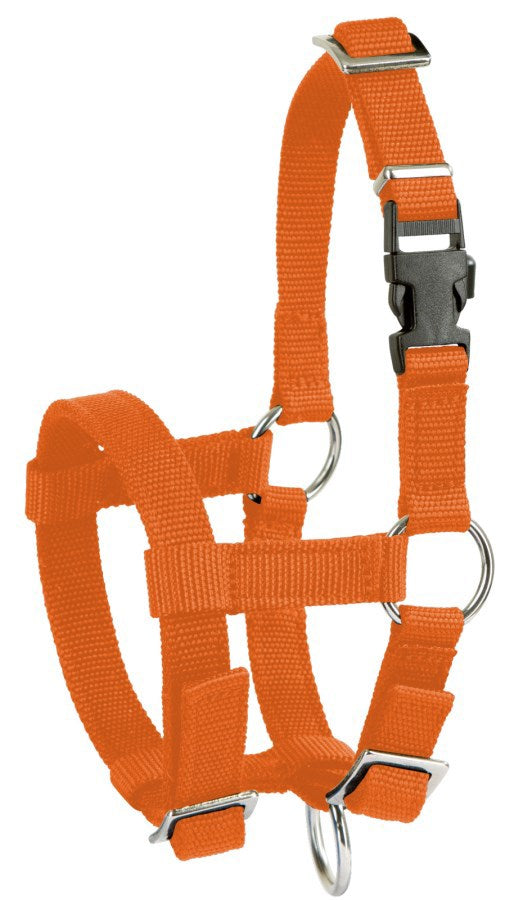 Producten alpaca halster oranje