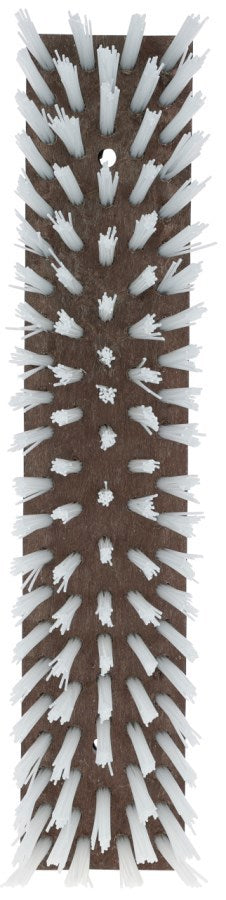 Producten veeborstel nylon wit 50x10cm