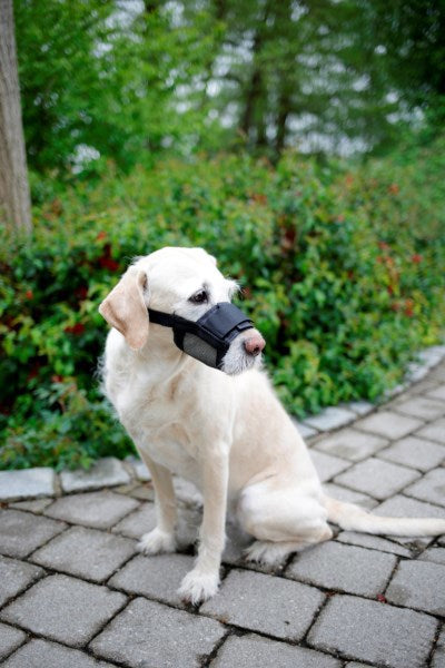 Producten nylon muilkorf hond mt l zwart