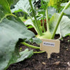 Producten plaatetiketten kunststof 14cm 15 stuks