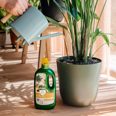 Pokon producten kamerplanten voeding 1l