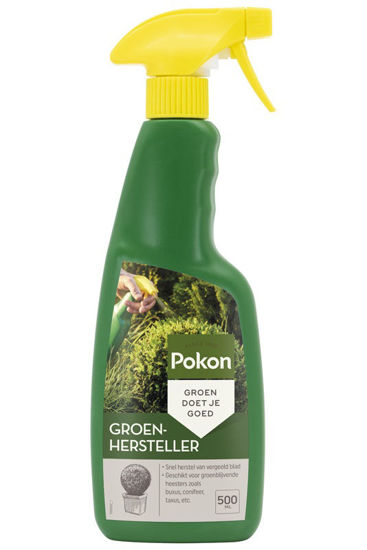Pokon groenhersteller 500ml
