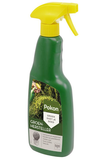 Pokon groenhersteller 500ml