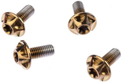 Silca bevestigingsbout screw bourbon 4pcs.