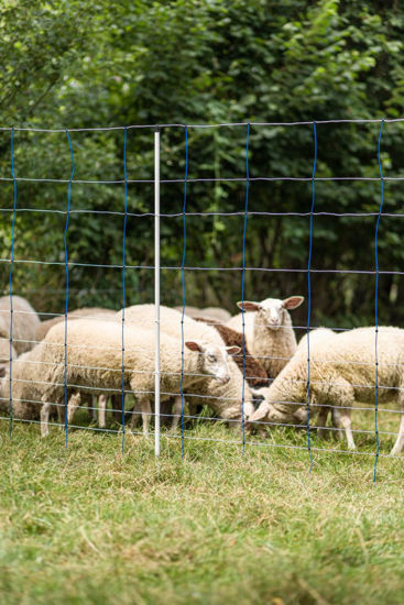 Ako titannet 145 blauwwit 25m 145cm dubbele pen