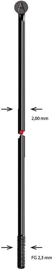 Alpina spaak spoke sst 2x260 mm b