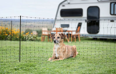 Ako campingnet 20meter 80cm groen dubbele pen