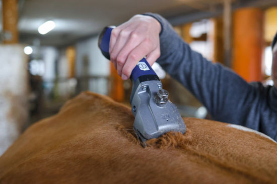 Aesculap econom accuscheermachine aesculap bonum pro blauw 2 accus