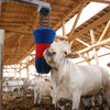 Producten happycow veeborstel flexiswing