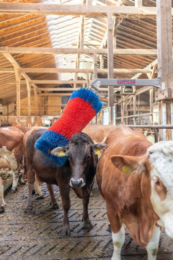 Producten happycow veeborstel freemaxi