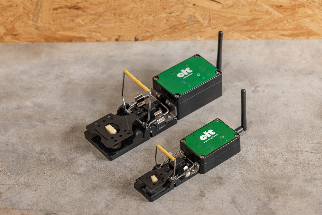 Producten muizenval smart cit mousestop
