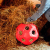 Producten voederspeel bal rood