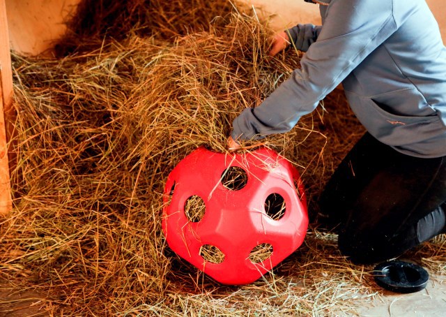 Producten voeder speel bal rood