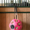 Producten voederspeel bal roze