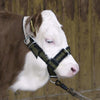 Producten stierenhalster nylon met d ring