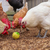Producten snackbal voor kippen oe 7 5 cm geel