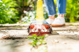 Gloria producten onkruidbrander thermoflamm fix - afbeelding 3
