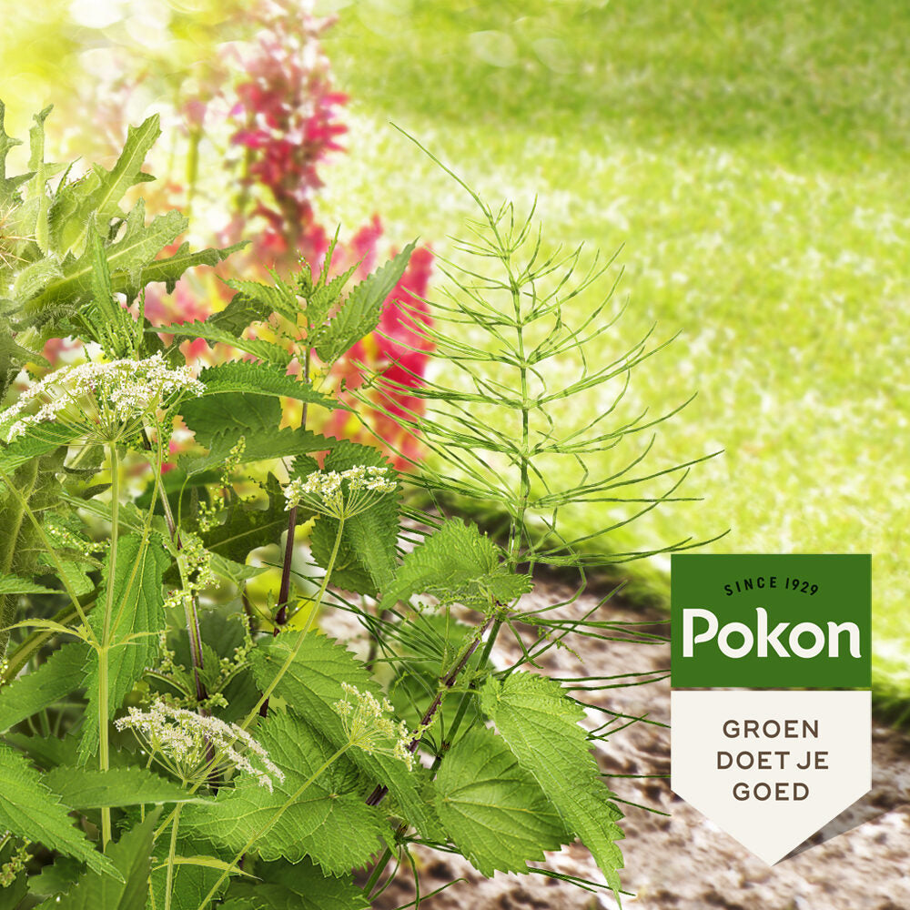 Pokon producten tegen hardnekkig onkruid concentraat 100ml weedex