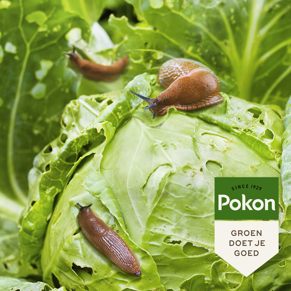 Pokon producten bio tegen slakken korrels 900gr