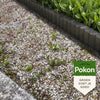 Pokon producten tegen onkruid concentraat 450ml