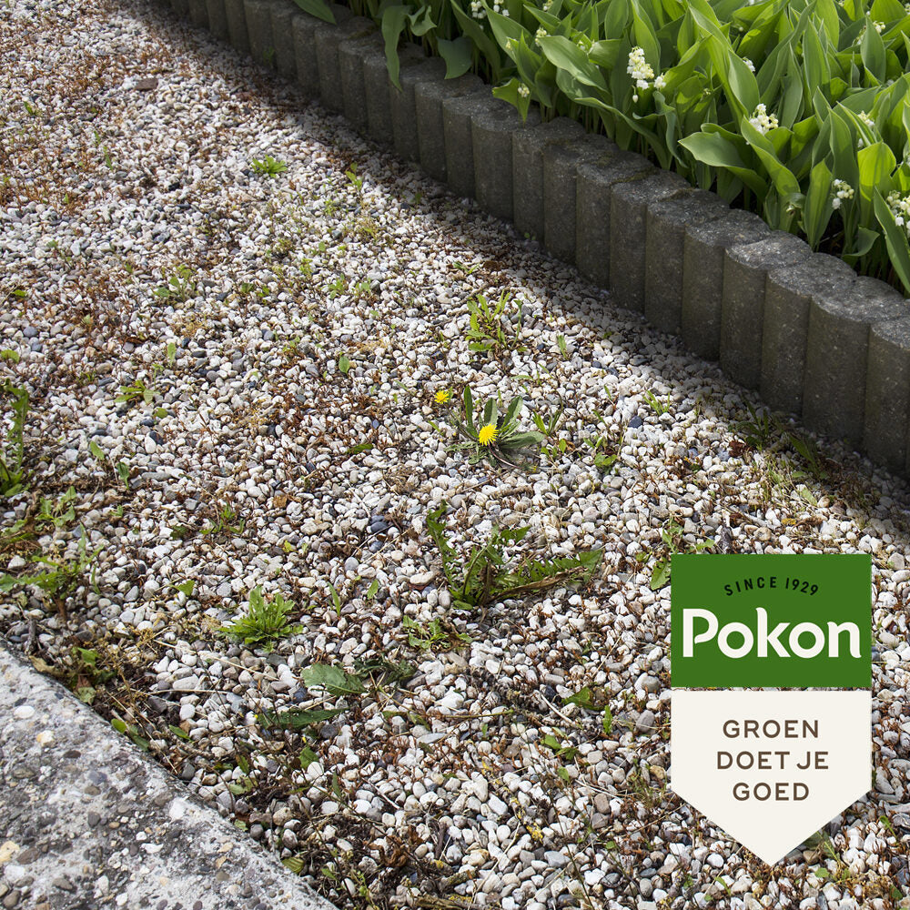 Pokon producten tegen onkruid concentraat 450ml