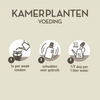 Pokon producten kamerplanten voeding 500ml