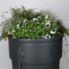 Producten regenton gardenplanter 230l