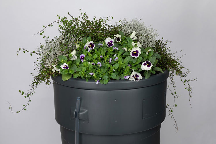 Producten regenton gardenplanter 230l
