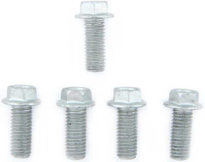 Trw bouten-set screw set 5pcs. m8x1,25