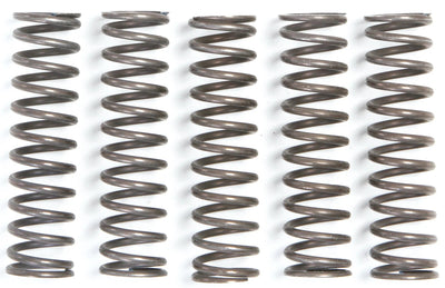 Trw koppelingsveer set mef1 clutch spring kit mef105-5