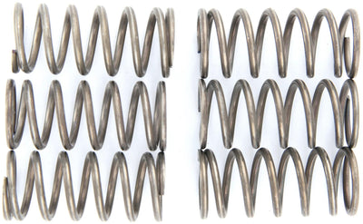 Trw koppelingsveer set mef1 clutch spring kit mef138-6