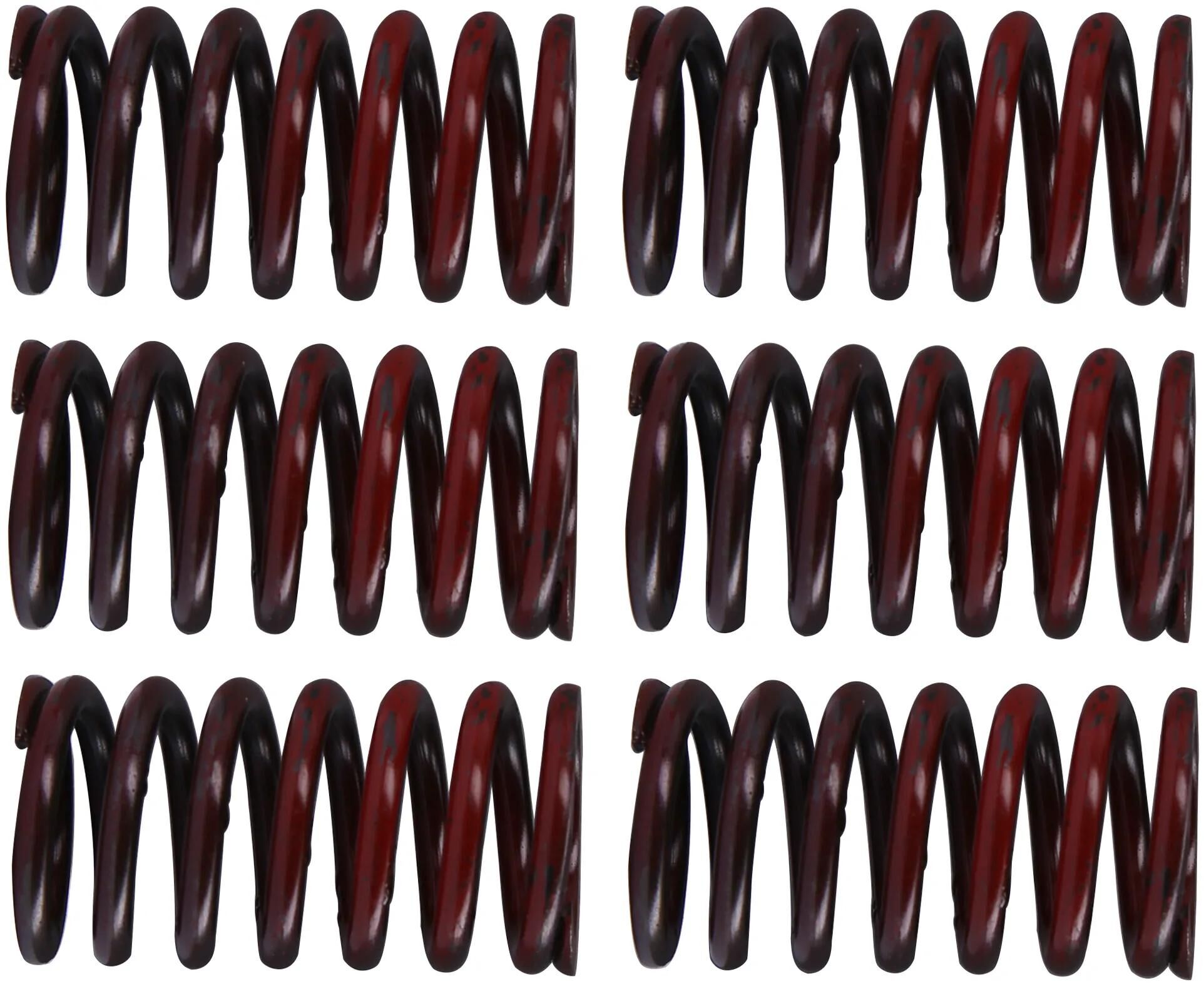 Trw koppelingsveer set mef3 clutch spring kit mef317-6